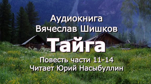 Аудиокнига В.Я.Шишков Повесть _Тайга_ Часть 11-14 от автора романа _Угрюм река_ Читает Ю.Насыбуллин. (1)