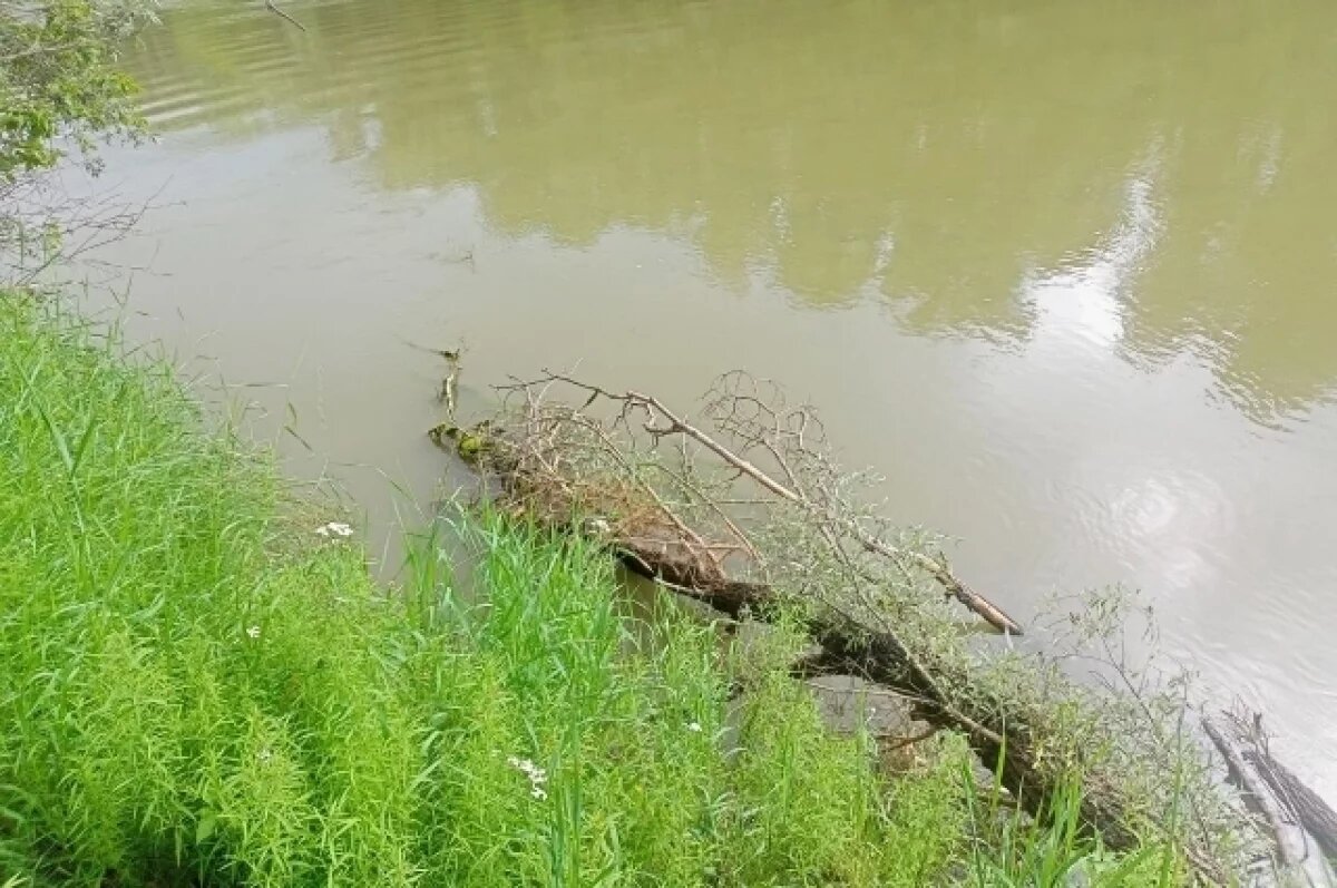    Минлесхоз: уровень воды в реке Сердоба под Пензой снизился из-за жары