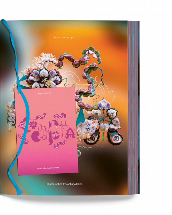    Певица Бьорк выпустит книгу о пятилетнем гастрольном туре (фото 3)