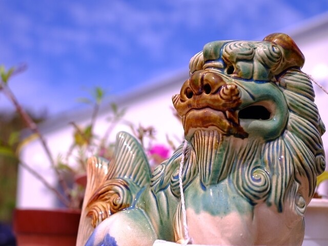 Фото из свободного источника интернета