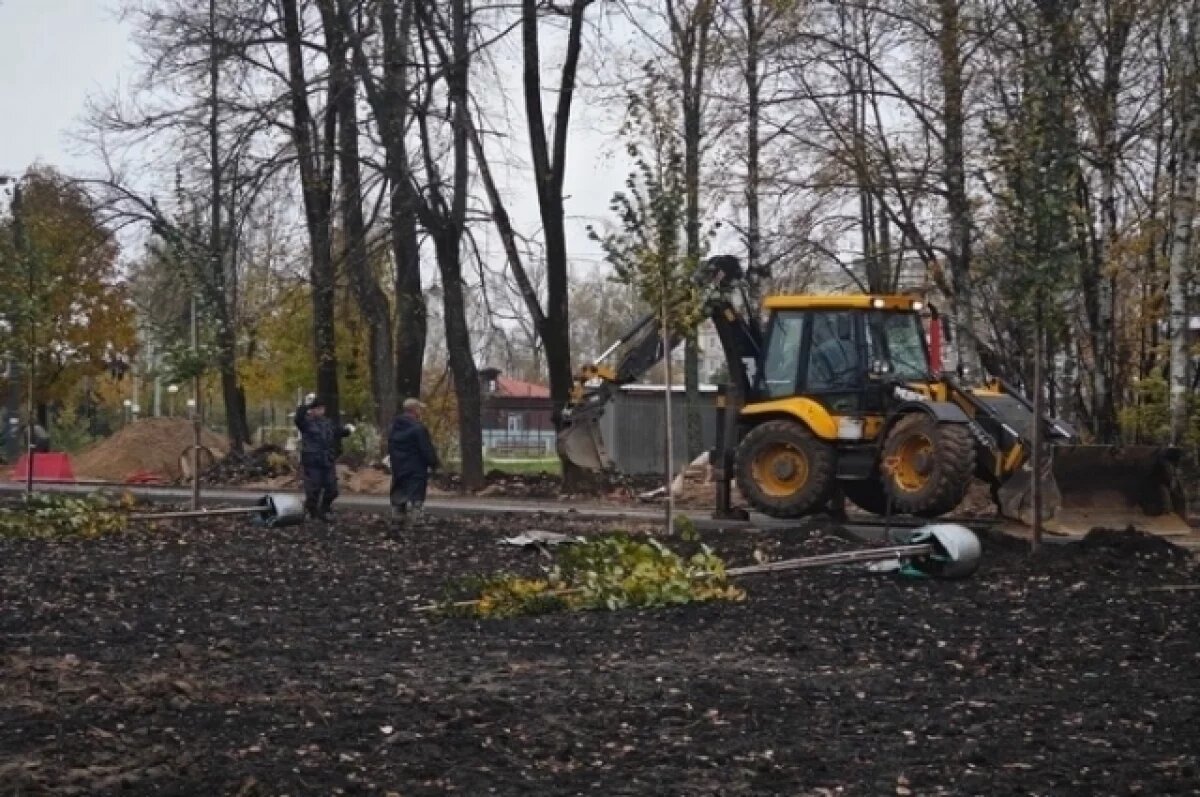    В Фурманове с благоустроенной набережной крадут растения