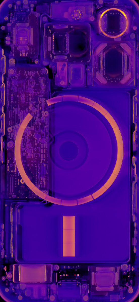    Инженеры iFixit создали «рентгеновские» обои для iPhone 16