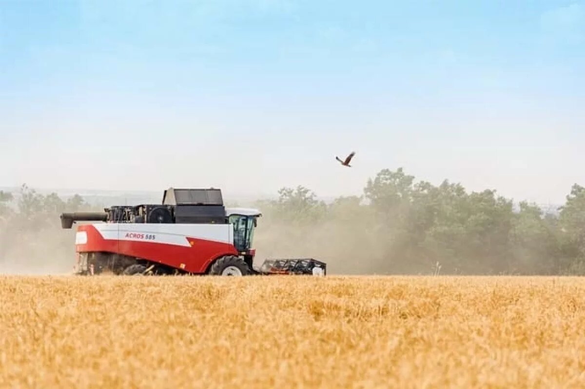    Рост производства валовой сельхозпродукции в Калужской области близок к 5%