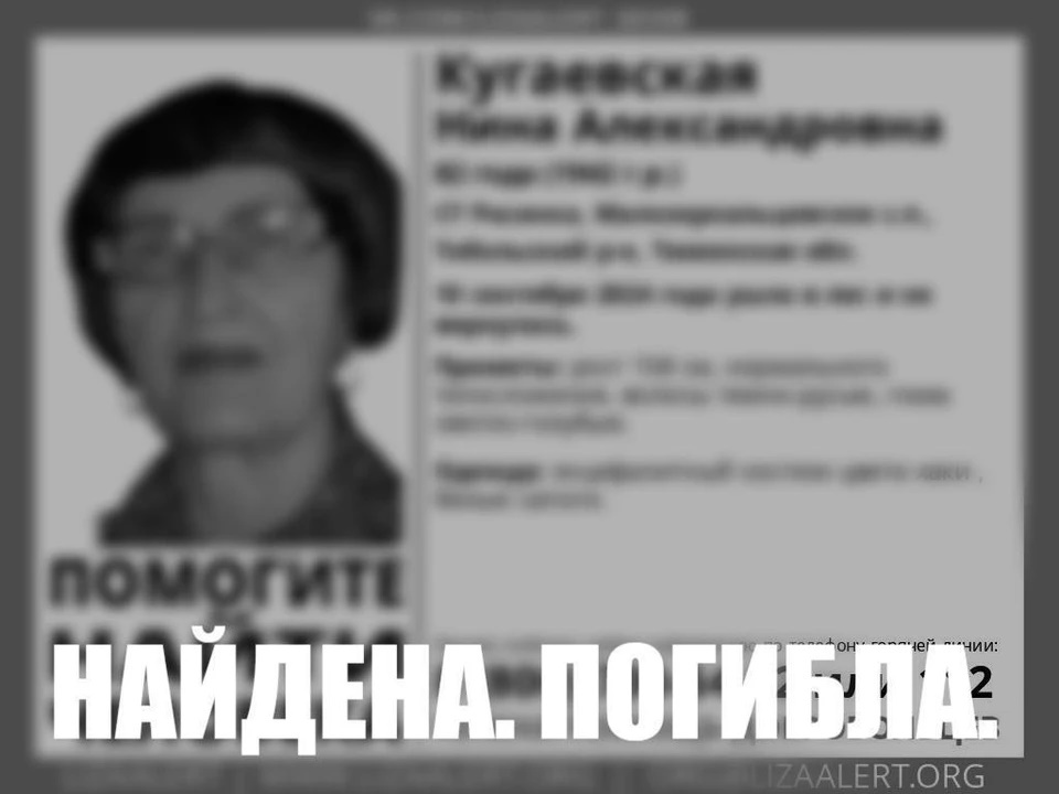    Фото: Поисковый отряд «ЛизаАлерт» Тюменской области.