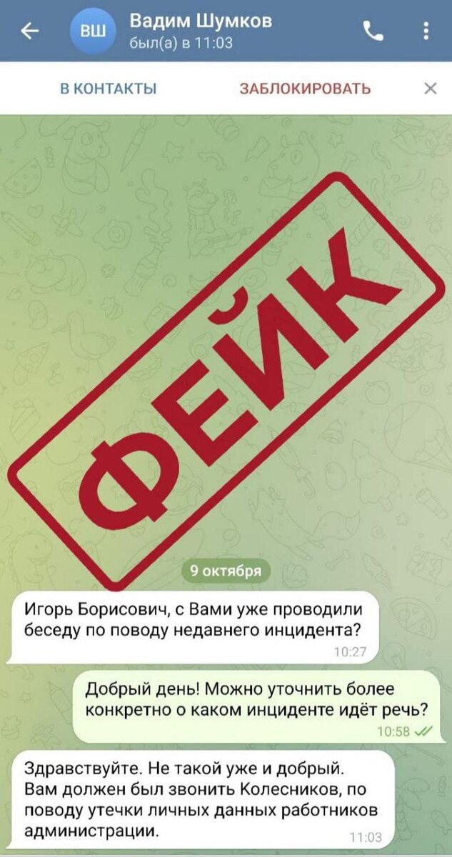    Фото: telegram-канал "Курганская область официально". Мошенники орудуют под видом губернатора