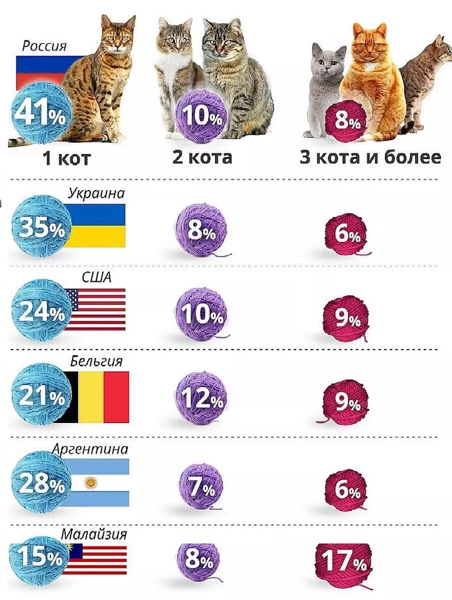 18% семей в РФ имеют больше одного кота