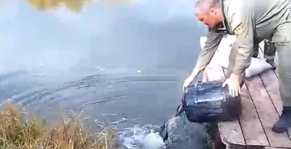    Фото: Госкомитет Татарстана по биоресурсам