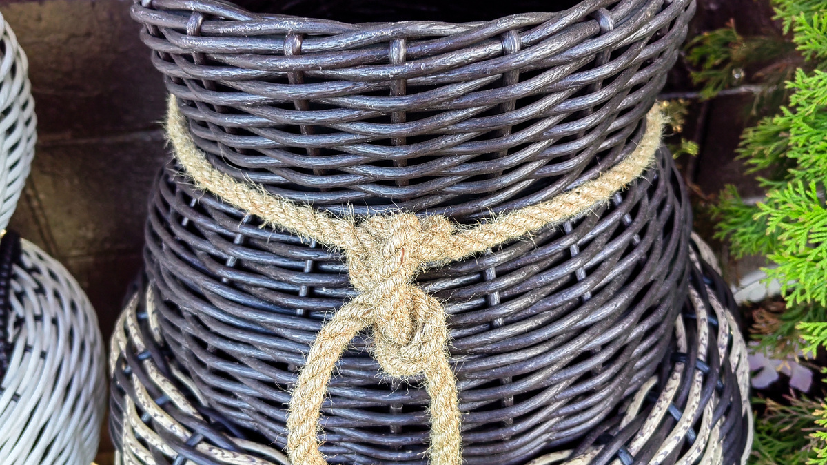 Видите, оно реально маленькое. Стоит на стандартном  кашпо 12 л. Фото автора