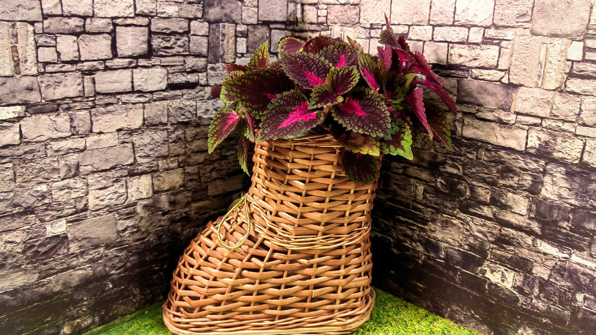 Примерно такого. Это имеющийся у меня мини-экземпляр без каркаса. Фото автора