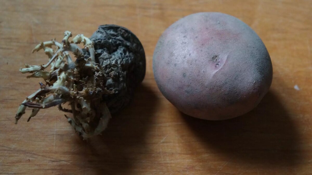     Автор: Алёна Дорофеева Источник: newsnn.ru