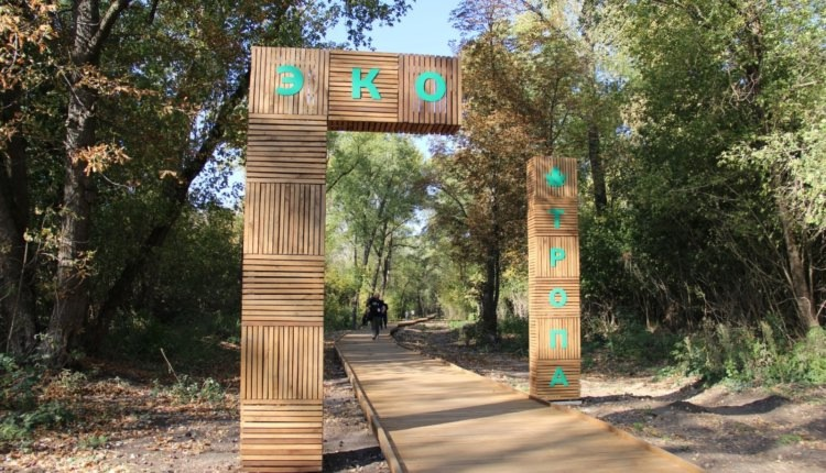 Источник: https://nia.eco/2024/10/03/91193/