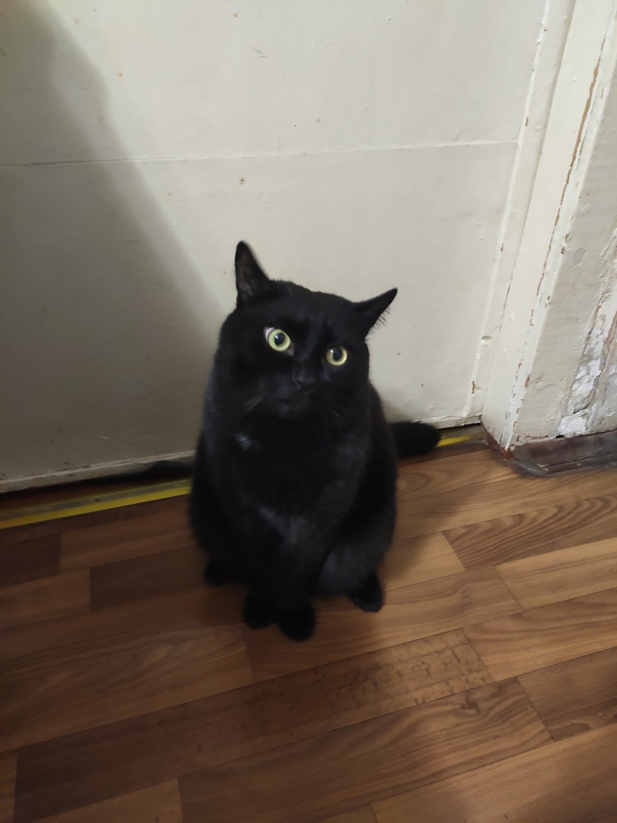 Фото автора.