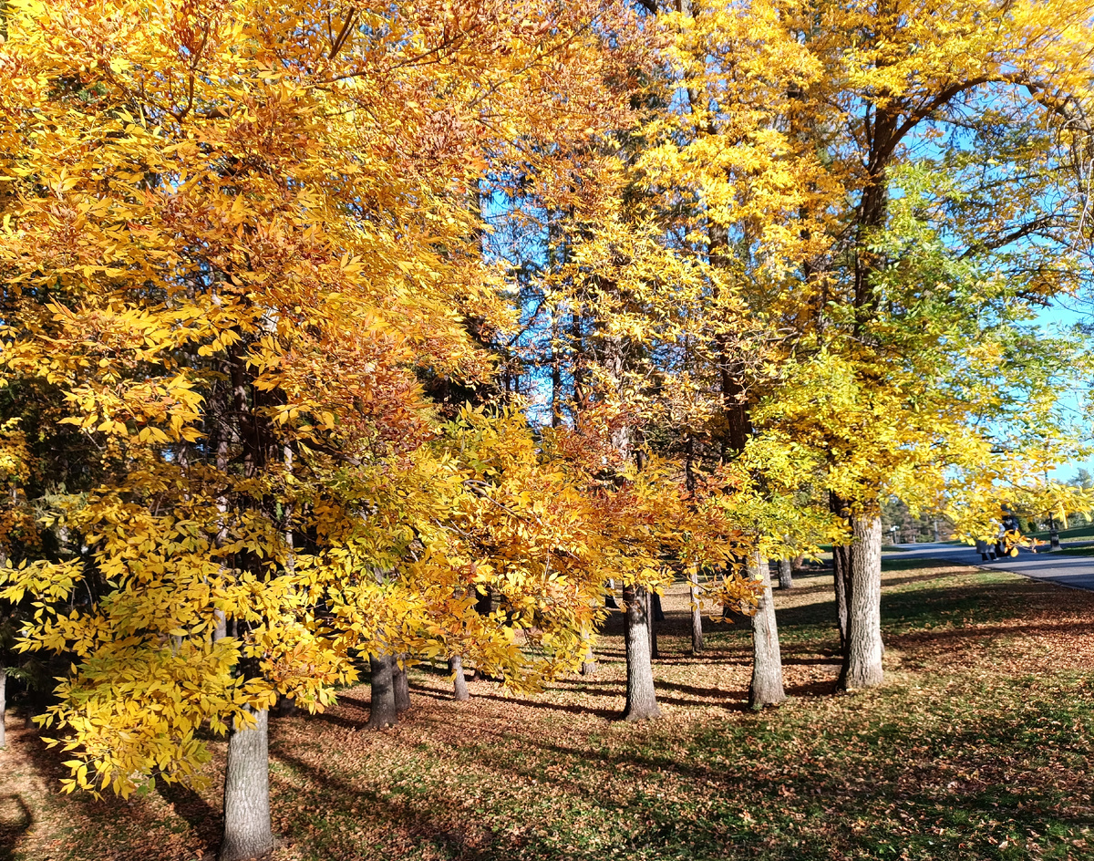 фотография автора.