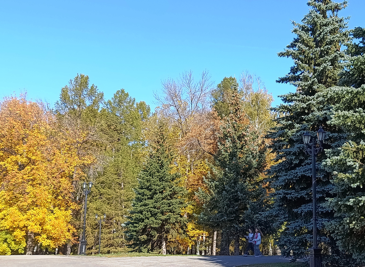 Фотография автора.