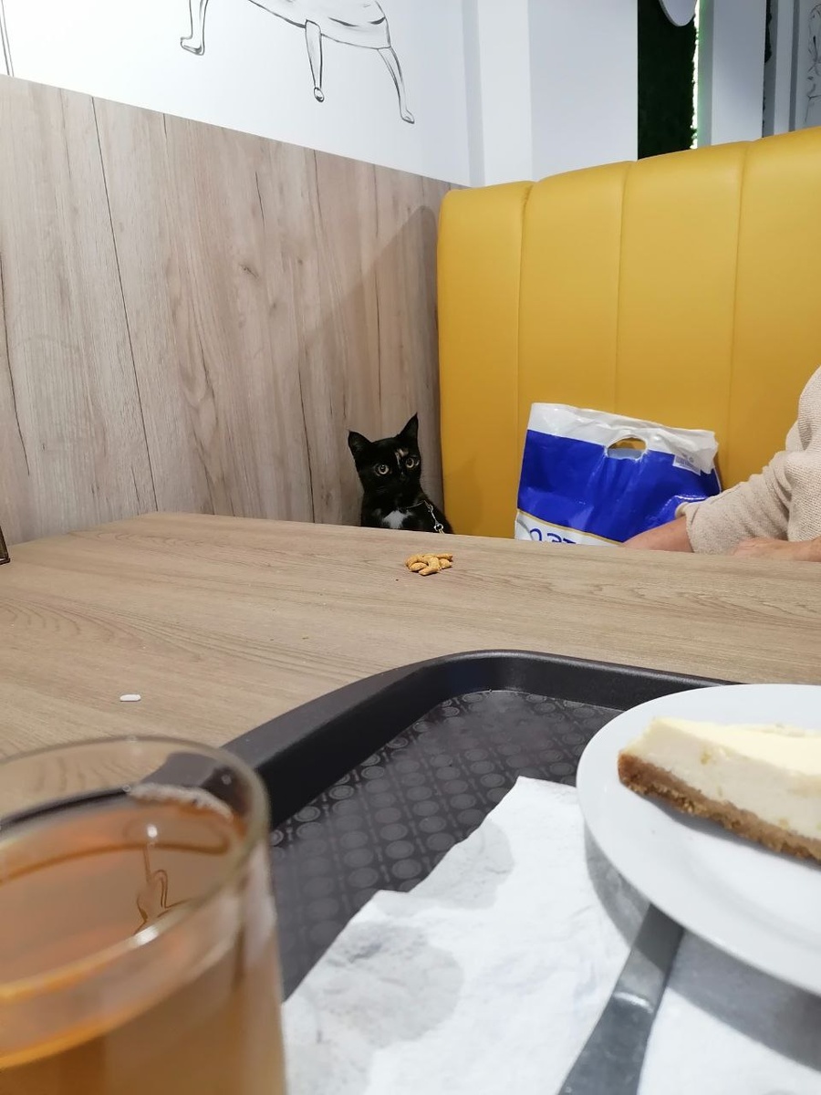 Это Арина с Масей в кафе.