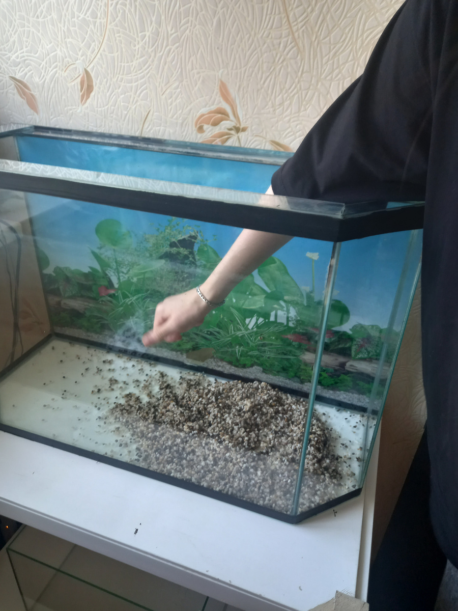 Запоняем аквариум. Обьем 80 литров.