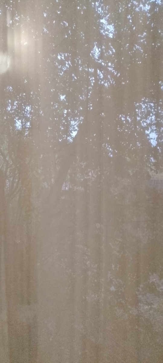 Личное фото