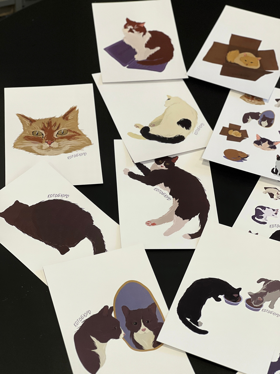 Эксклюзивные открытки с нашими котиками!