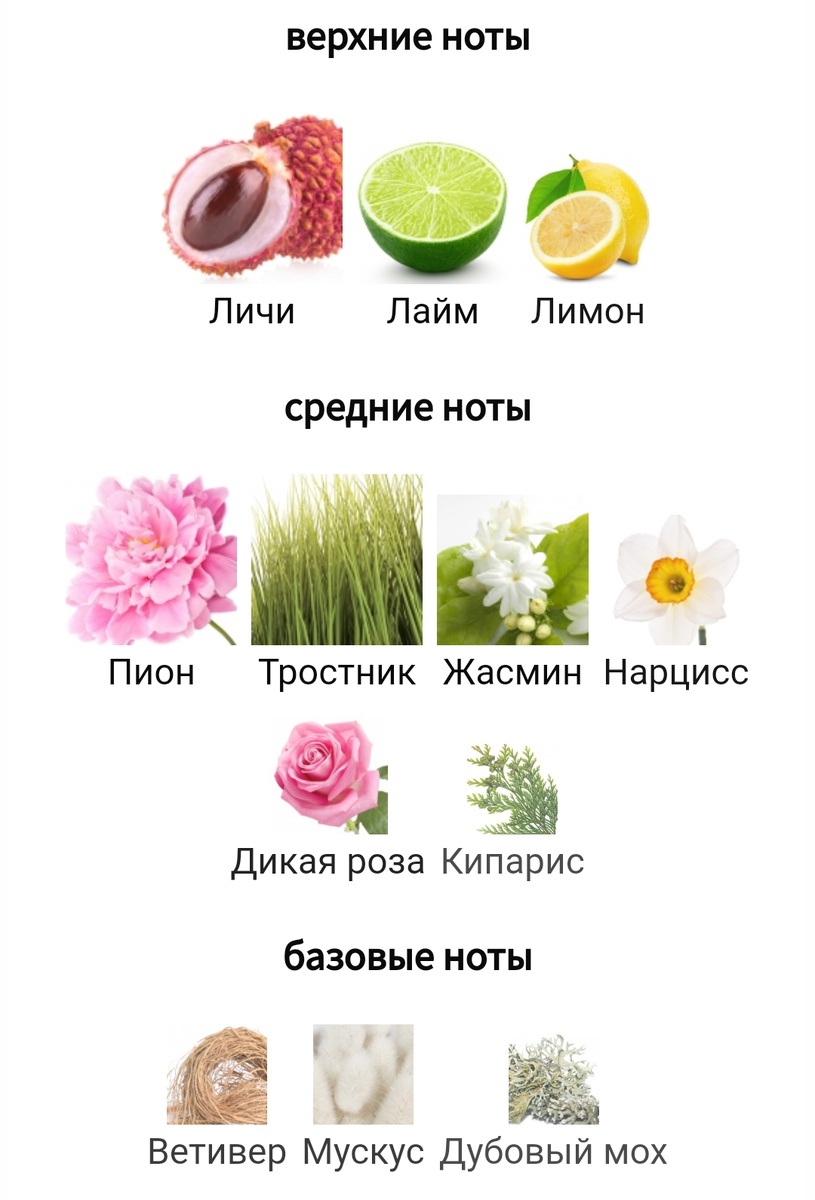 Фото с сайта fragrantica.ru 