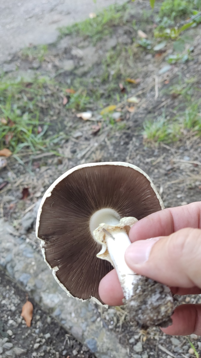 Выглядит прекрасно