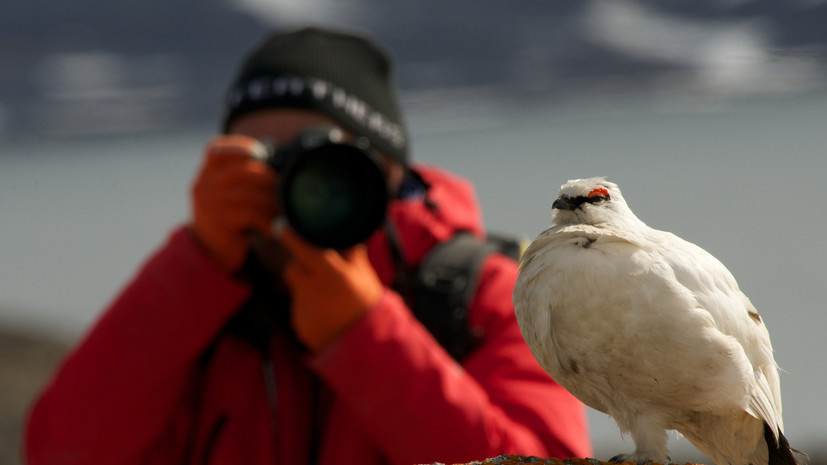   Gettyimages.ru