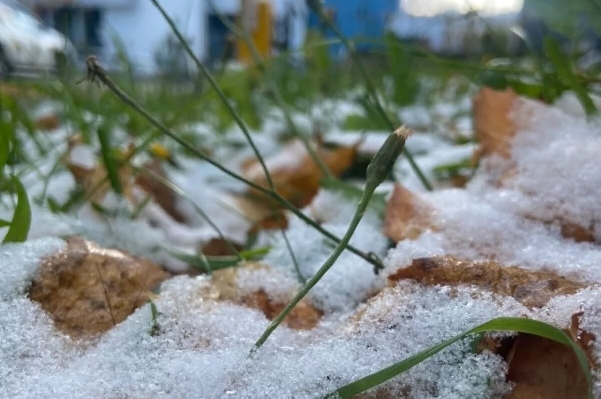    Снежный покров в Перми может сохраниться до начала следующей недели.