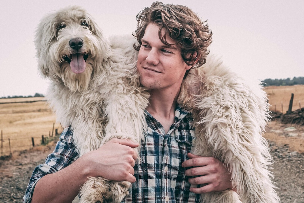     Как наладить общение с собакой: научный совет