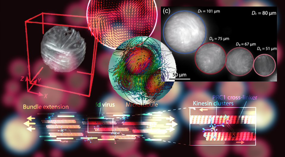   N + 1; Guillaume Duclos et al. / Physical Review X, 2024