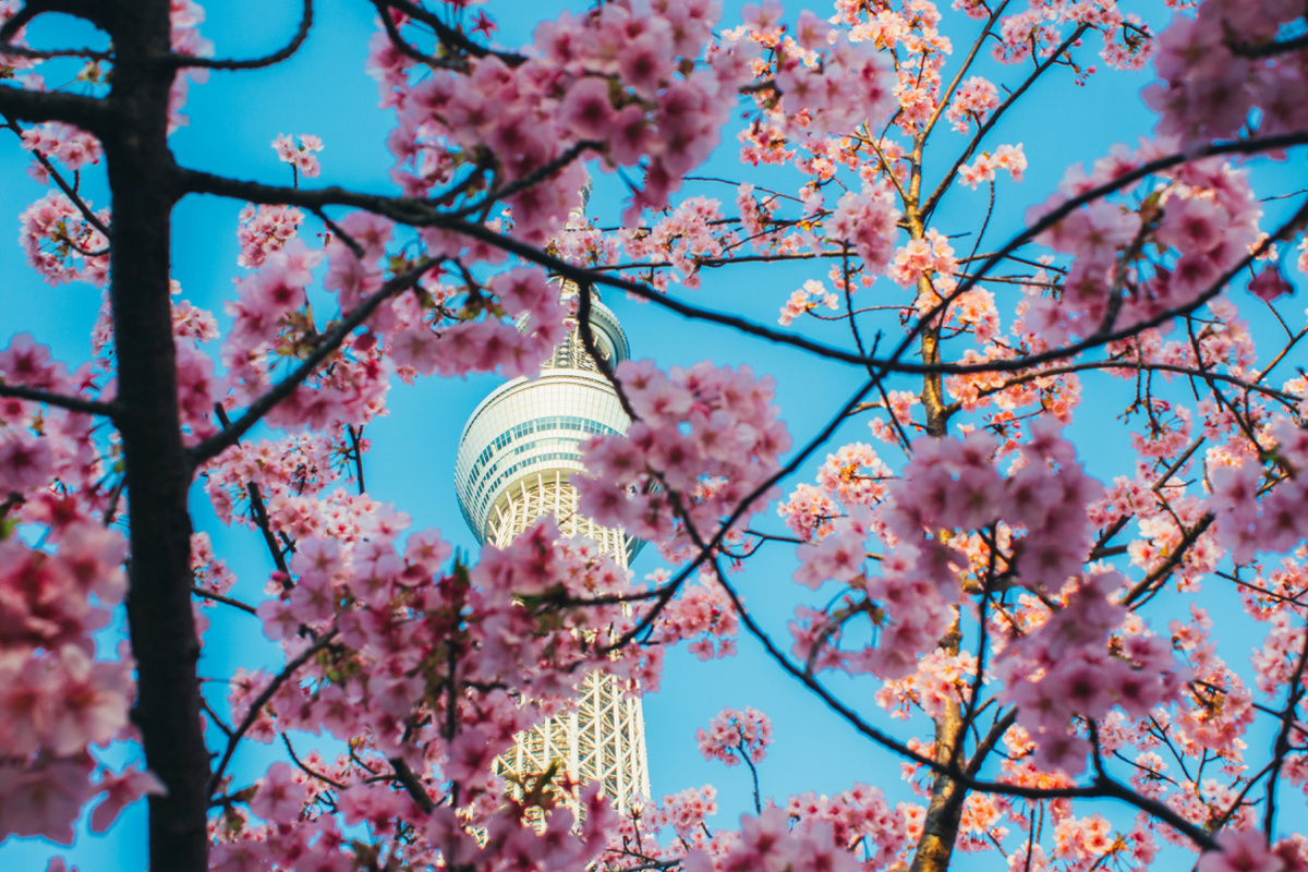 Photo by Atul Vinayak on Unsplash  