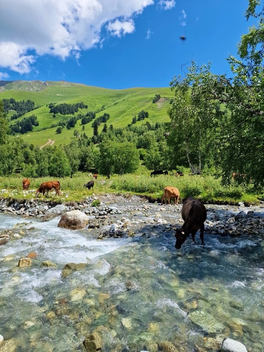 КЧР,  пос. Архыз.  Марк, 2Г