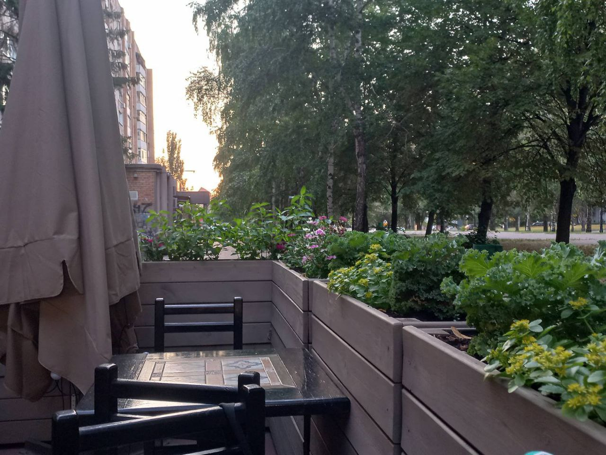 Фото автора.