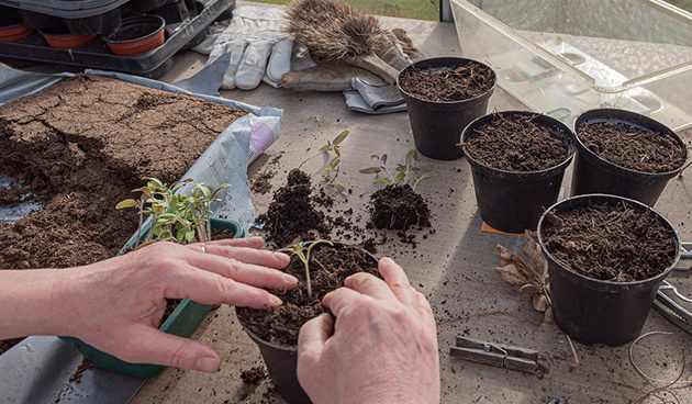    Фото: pixabay.com