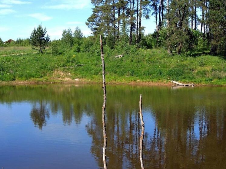     Фото: Геннадий Черкасов