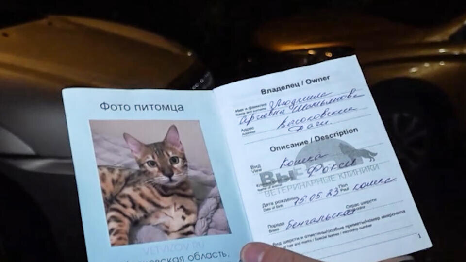    Скриншот видео