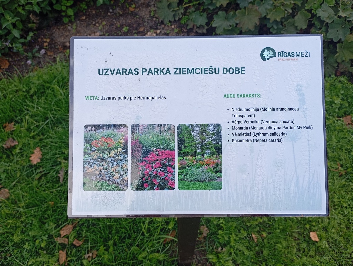 Рига, 8 августа 2024