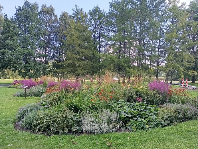 Рига, 8 августа 2024