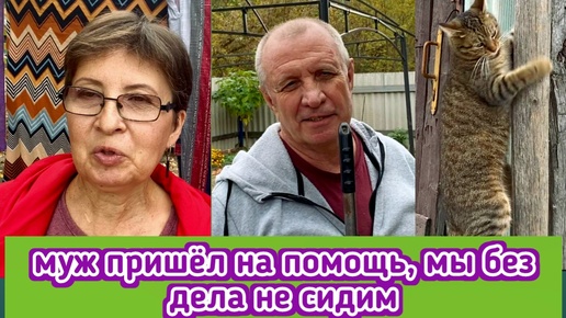 Сдала наряды назад, сколько воды в филе горбуши, муж помогает мне на огороде, цены в Пятёрочке без пенсионных скидок