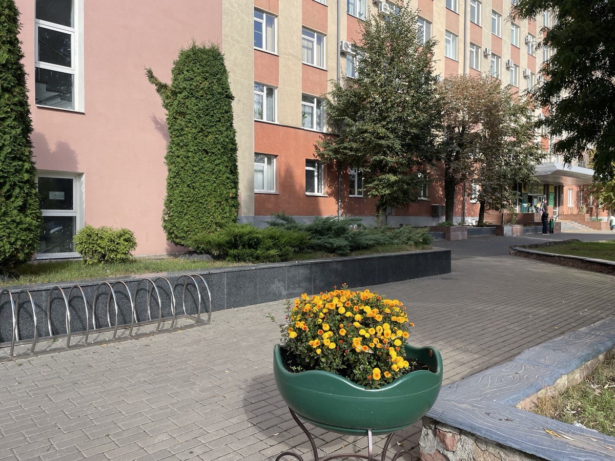 Иду в Налоговую