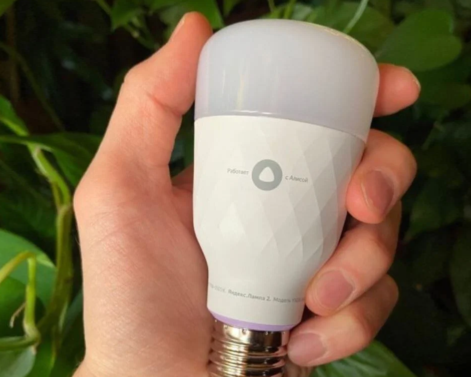 Фото из интернета