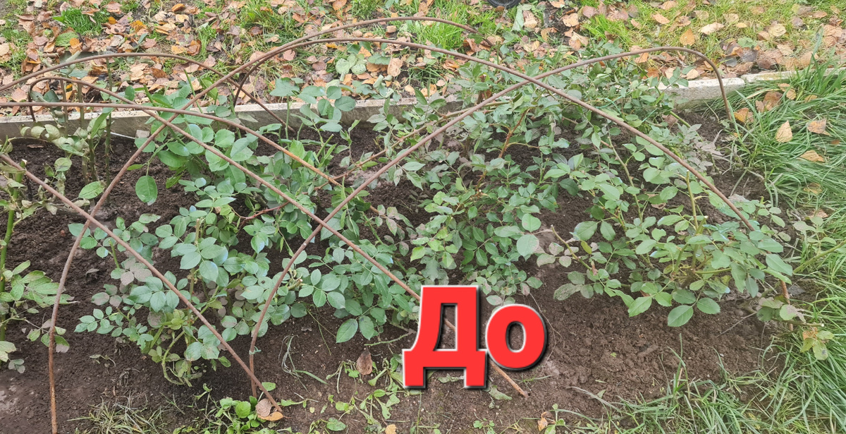 -11