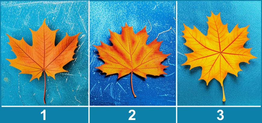 Выберите один лист