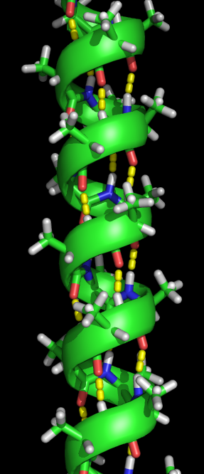    Альфа-спираль белка   
Wikimedia Commons