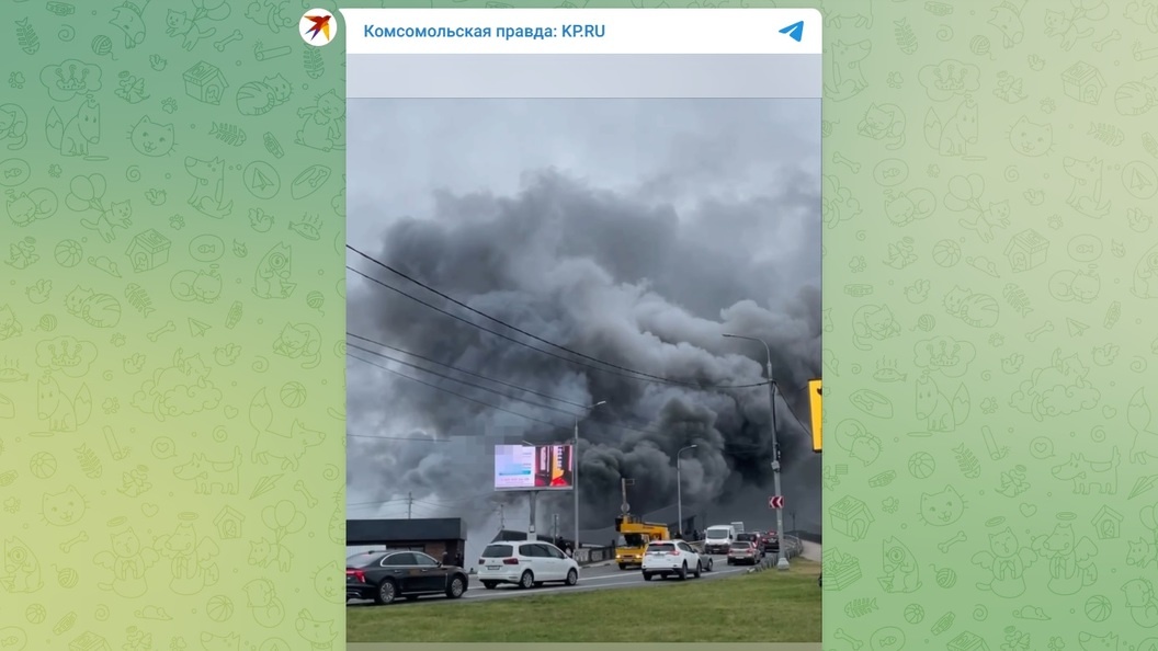    Телеграм-канал «Комсомольская правда: KP.RU»