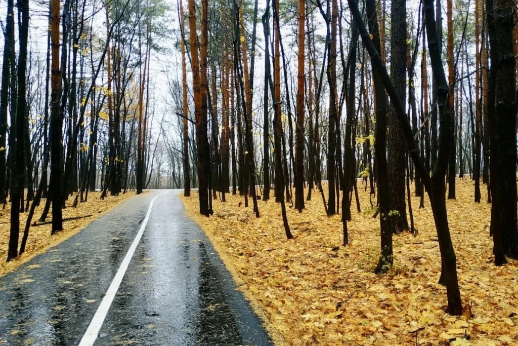 Фото: SterlitamakTime.ru / OOO «Уфатайм»