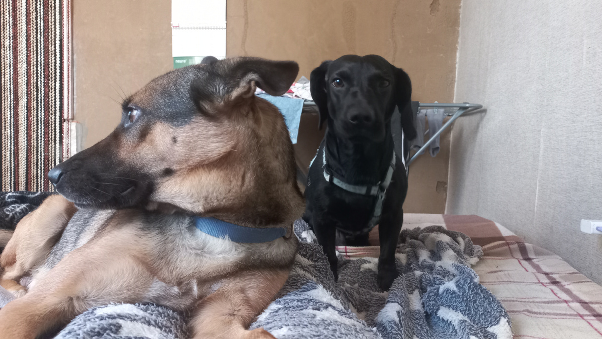 Фото автора 