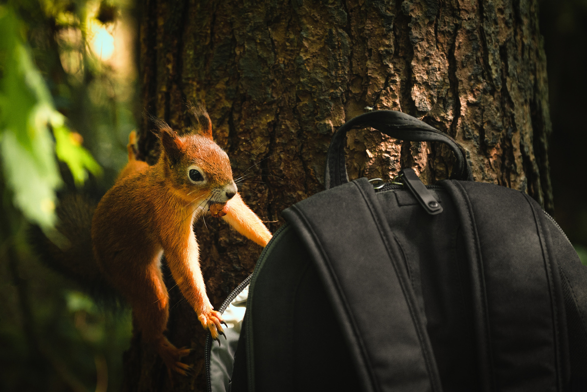 Фото: Shutterstock / Azovsky