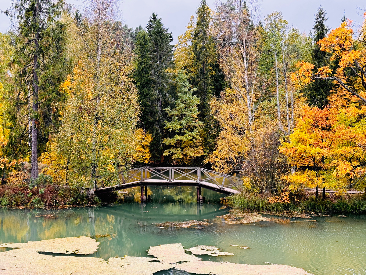 Река Воря и Нижний пруд