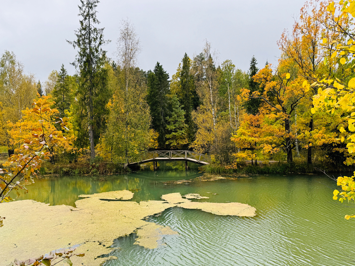 Река Воря и Нижний пруд