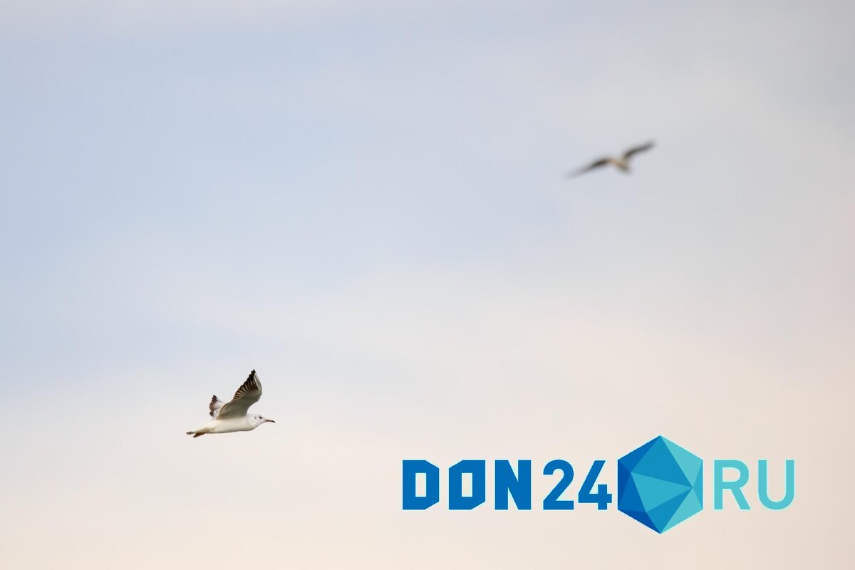    ДОН24   
 
 
 📷   ДОН24   📷   ДОН24   
 📷   ДОН24