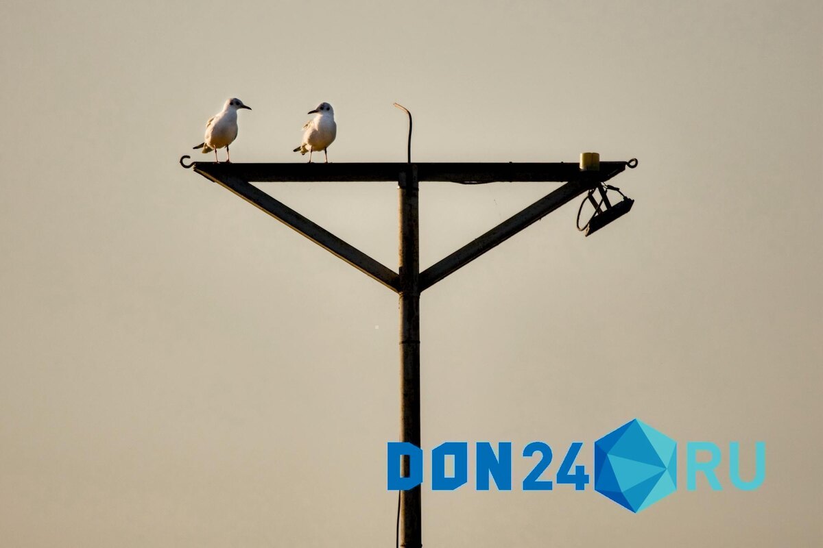    ДОН24   
 📷   ДОН24   
 
 📷   ДОН24   
 📷   ДОН24
